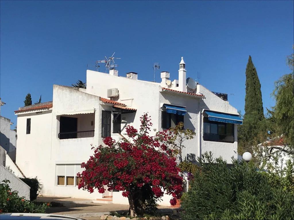 T0 Pedras D'El Rei Apartment Тавира Стая снимка